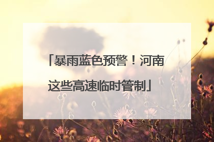 暴雨蓝色预警！河南这些高速临时管制