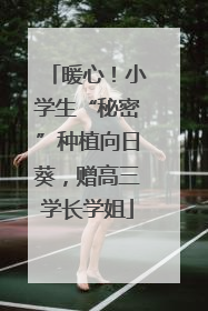 暖心！小学生“秘密”种植向日葵，赠高三学长学姐
