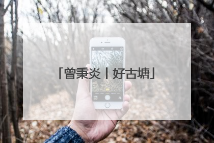 曾秉炎丨好古塘
