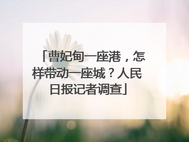 曹妃甸一座港，怎样带动一座城？人民日报记者调查