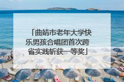 曲靖市老年大学快乐男孩合唱团首次跨省实践斩获一等奖