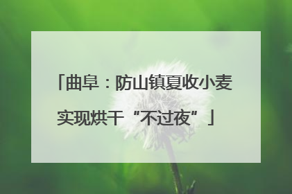 曲阜：防山镇夏收小麦实现烘干“不过夜”