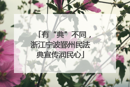 有“典”不同，浙江宁波鄞州民法典宣传润民心