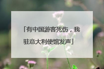 有中国游客死伤，我驻意大利使馆发声