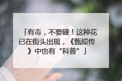 有毒，不要碰！这种花已在街头出现，《甄嬛传》中也有“科普”