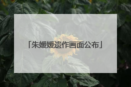 朱媛媛遗作画面公布