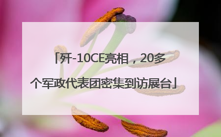 歼-10CE亮相，20多个军政代表团密集到访展台
