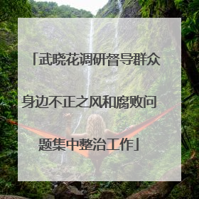 武晓花调研督导群众身边不正之风和腐败问题集中整治工作