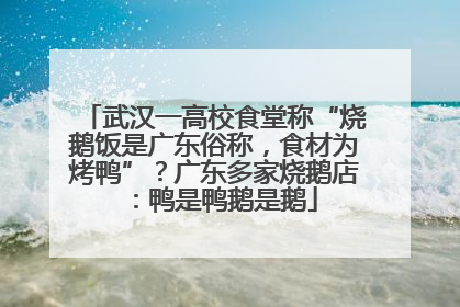 武汉一高校食堂称“烧鹅饭是广东俗称，食材为烤鸭”？广东多家烧鹅店：鸭是鸭鹅是鹅