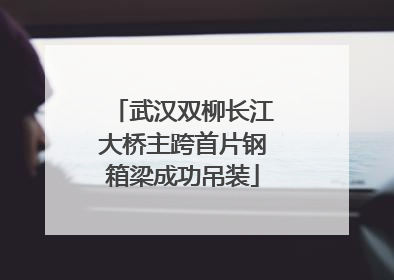 武汉双柳长江大桥主跨首片钢箱梁成功吊装