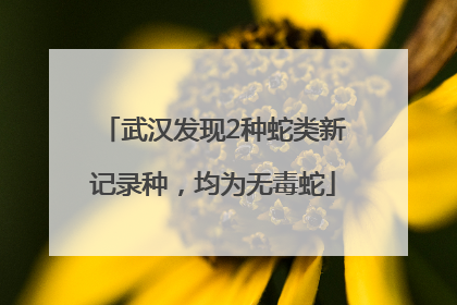 武汉发现2种蛇类新记录种，均为无毒蛇