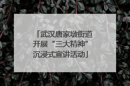 武汉唐家墩街道开展“三大精神”沉浸式宣讲活动