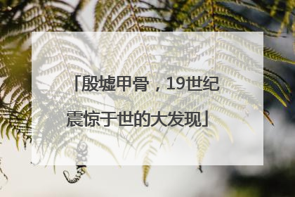 殷墟甲骨，19世纪震惊于世的大发现