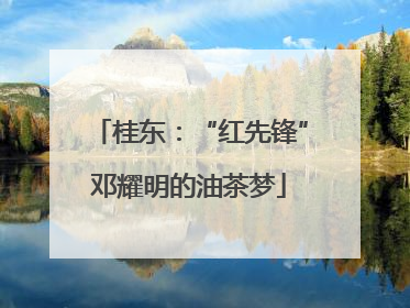 桂东：“红先锋”邓耀明的油茶梦