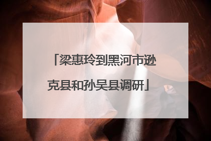 梁惠玲到黑河市逊克县和孙吴县调研