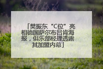 樊振东“C位”亮相德国萨尔布吕肯海报，俱乐部经理透露其加盟内幕
