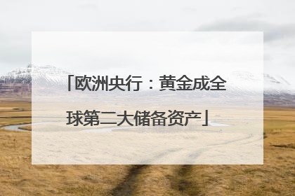 欧洲央行：黄金成全球第二大储备资产