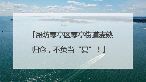 潍坊寒亭区寒亭街道麦熟归仓，不负当“夏”！