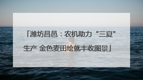 潍坊昌邑：农机助力“三夏”生产 金色麦田绘就丰收图景