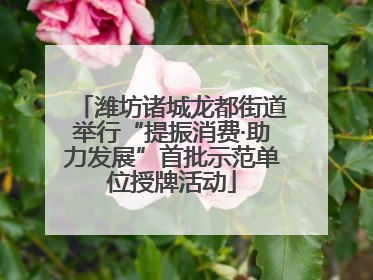潍坊诸城龙都街道举行“提振消费·助力发展”首批示范单位授牌活动