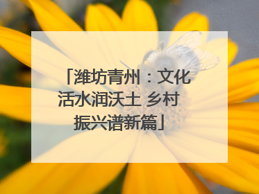 潍坊青州：文化活水润沃土 乡村振兴谱新篇