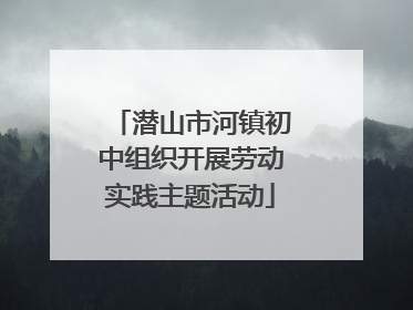 潜山市河镇初中组织开展劳动实践主题活动