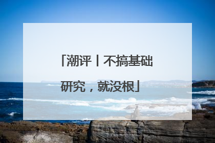 潮评丨不搞基础研究，就没根