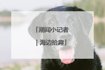 潮闻小记者｜海边拾趣