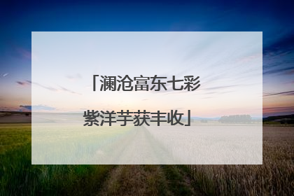 澜沧富东七彩紫洋芋获丰收