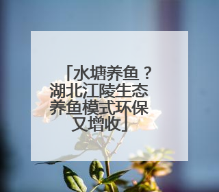 水塘养鱼？湖北江陵生态养鱼模式环保又增收