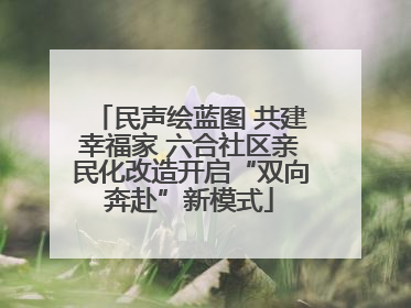 民声绘蓝图 共建幸福家 六合社区亲民化改造开启“双向奔赴”新模式