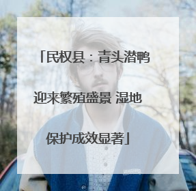 民权县：青头潜鸭迎来繁殖盛景 湿地保护成效显著