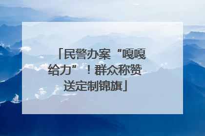 民警办案“嘎嘎给力”！群众称赞送定制锦旗