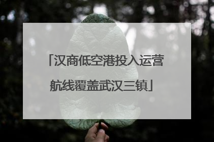 汉商低空港投入运营 航线覆盖武汉三镇