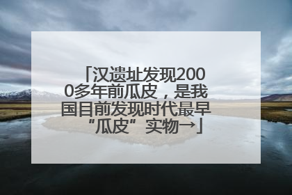 汉遗址发现2000多年前瓜皮，是我国目前发现时代最早“瓜皮”实物→