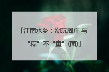 江南水乡：潮玩周庄 与“粽”不“童”(图)