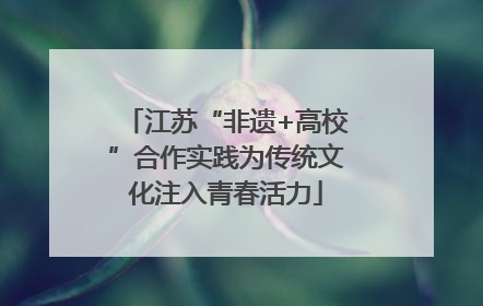 江苏“非遗+高校”合作实践为传统文化注入青春活力