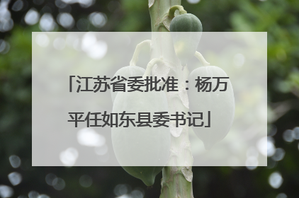 江苏省委批准：杨万平任如东县委书记