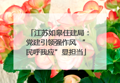 江苏如皋住建局：党建引领强作风 “民呼我应”显担当