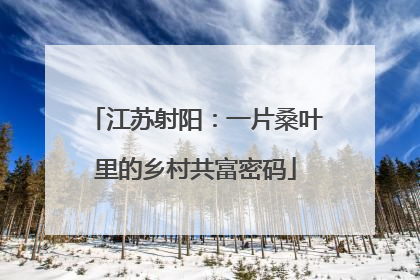 江苏射阳：一片桑叶里的乡村共富密码