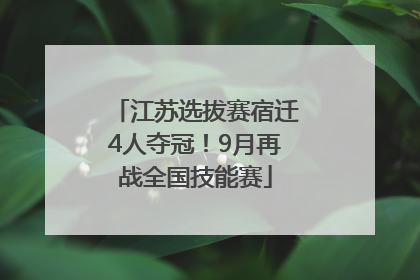 江苏选拔赛宿迁4人夺冠！9月再战全国技能赛