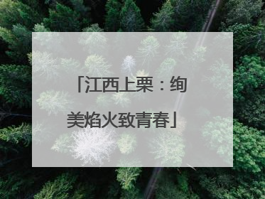 江西上栗：绚美焰火致青春