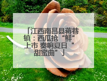 江西南昌县蒋巷镇：西瓜抢“鲜”上市 奏响夏日“甜蜜曲”
