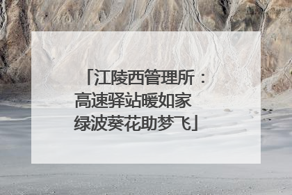 江陵西管理所：高速驿站暖如家 绿波葵花助梦飞