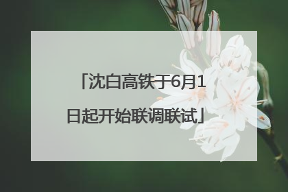 沈白高铁于6月1日起开始联调联试