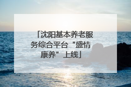 沈阳基本养老服务综合平台“盛情康养”上线