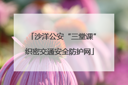 沙洋公安“三堂课”织密交通安全防护网