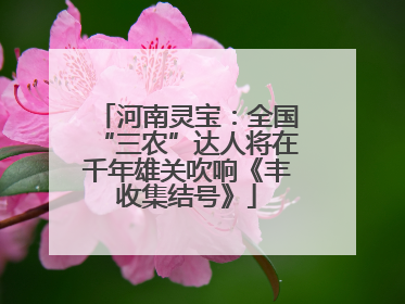 河南灵宝：全国“三农”达人将在千年雄关吹响《丰收集结号》