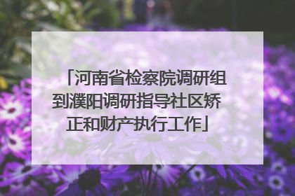 河南省检察院调研组到濮阳调研指导社区矫正和财产执行工作