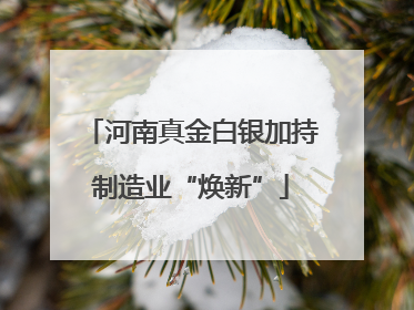 河南真金白银加持制造业“焕新”